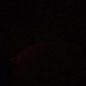 Meet your Posher, Lizbeth